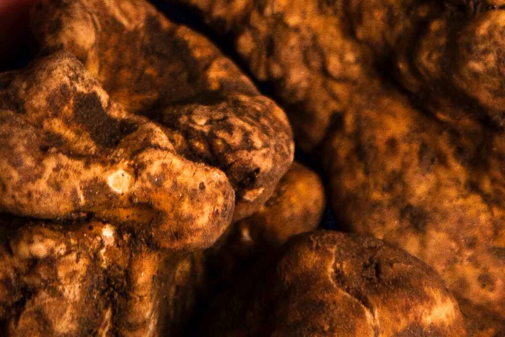 tartufo bianco pregiato