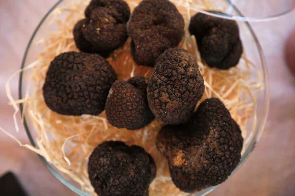 tartufo nero cibò